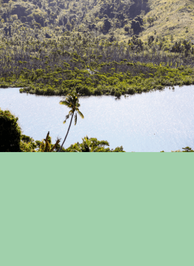 3 - AFD-FIDJI0452xpng